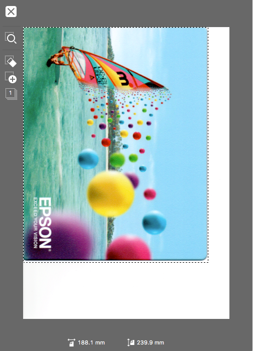 Scan preview window